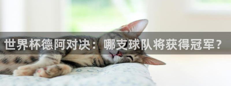 世界杯对阵表:世界杯德阿对决:哪支球队将获得冠军?