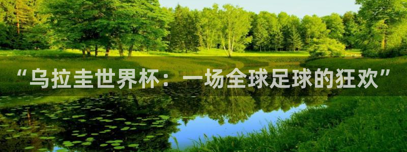世界杯 直播:“乌拉圭世界杯:一场全球足球的狂欢”