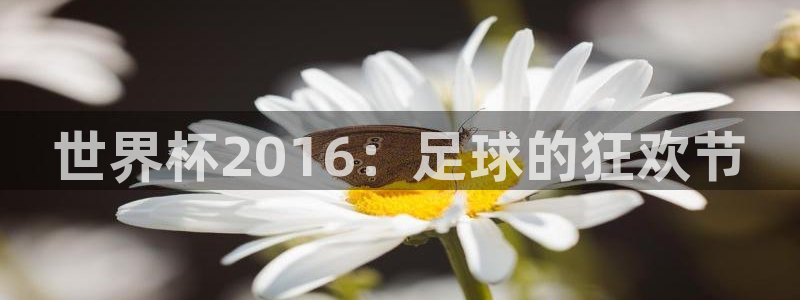 2026足球世界杯赛程时间表:世界杯2016:足球的狂欢节