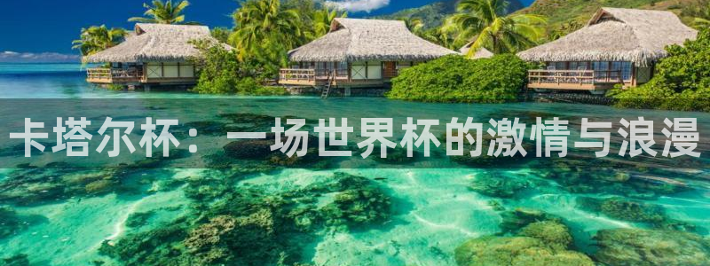 欧联杯直播:卡塔尔杯:一场世界杯的激情与浪漫