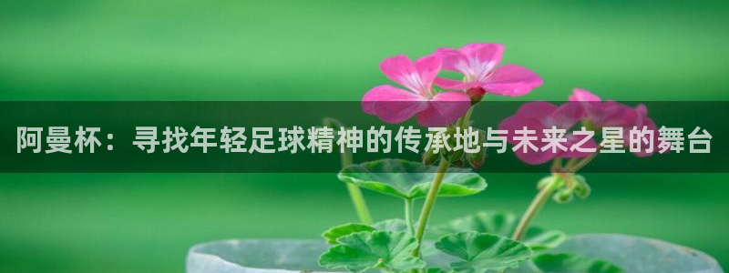 2026年足球世界杯赛程时间表:阿曼杯:寻找年轻足球精神的传承地与未来之星的舞台